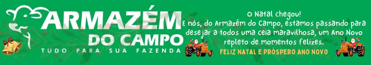 ARMAZEM DO CAMPO 2