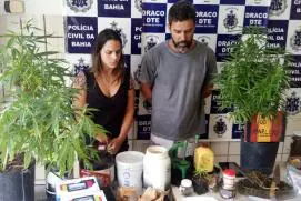 Donos do Restaurante Manzuko são presos com grande quantidade de maconha, LSD e Ecstasy