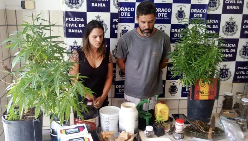 Donos do Restaurante Manzuko são presos com grande quantidade de maconha, LSD e Ecstasy