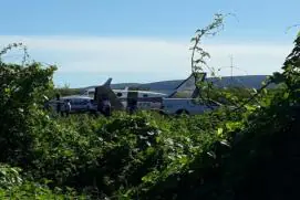 Avião com doses da vacina da Covid-19 bate em jumento que estava em pista de aeródromo da Bahia