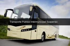 Bahia tem mais 23 municípios com transporte suspenso; total chega a 264