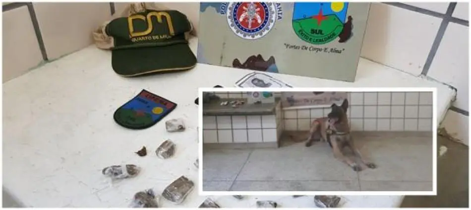 Caema prende acusado por tráfico de drogas em flagrante