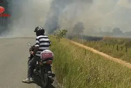 Eucalipto cai em rede elétrica e provoca incêndio entre Medeiros Neto e Teixeira de Freitas.