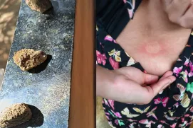 Mistério: ataques a pedradas assombram adolescente em Sulzinho, interior de Vereda; assista ao vídeo.