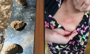 Mistério: ataques a pedradas assombram adolescente em Sulzinho, interior de Vereda; assista ao vídeo.