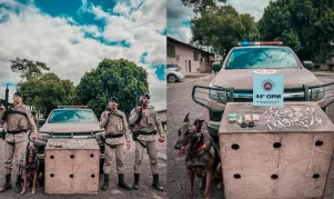 PM apreende drogas com auxílio do cão farejador Argus K9 e continua buscas por suspeito de atentado contra empresário em Medeiros Neto